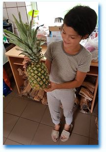 ..Alexandra ... the first time I have a pineapple
